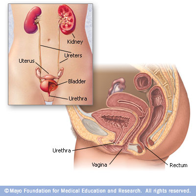 urinary tract infection ic